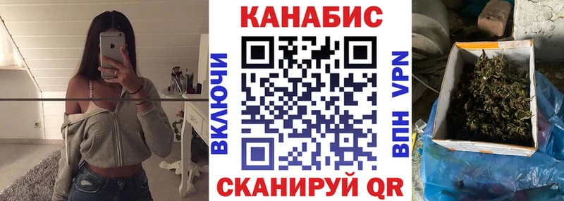 Конопля сатива  Екатеринбург 